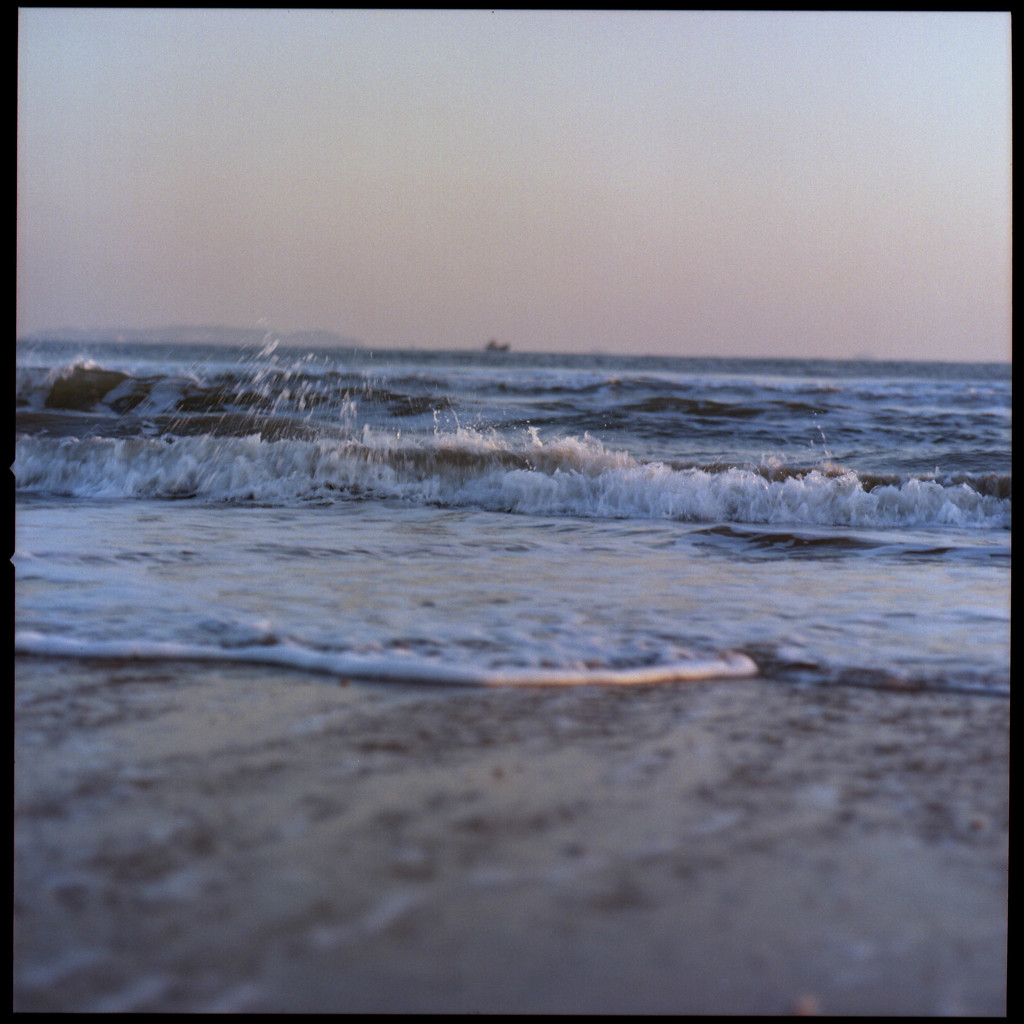 冬の海