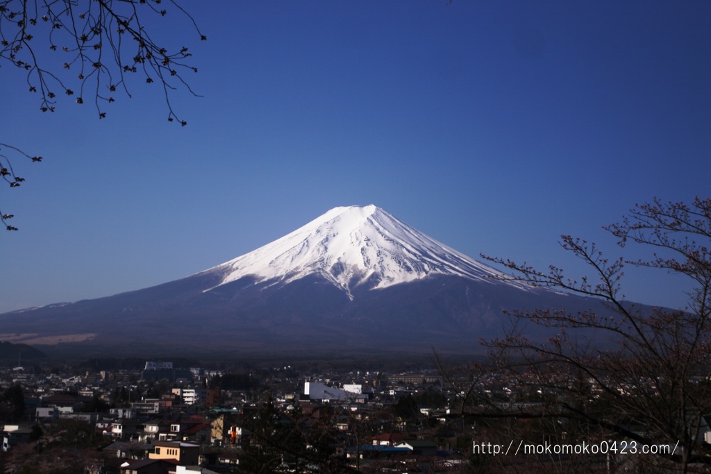 新倉山浅間公園　からの富士山