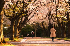 オレンジのトンネル