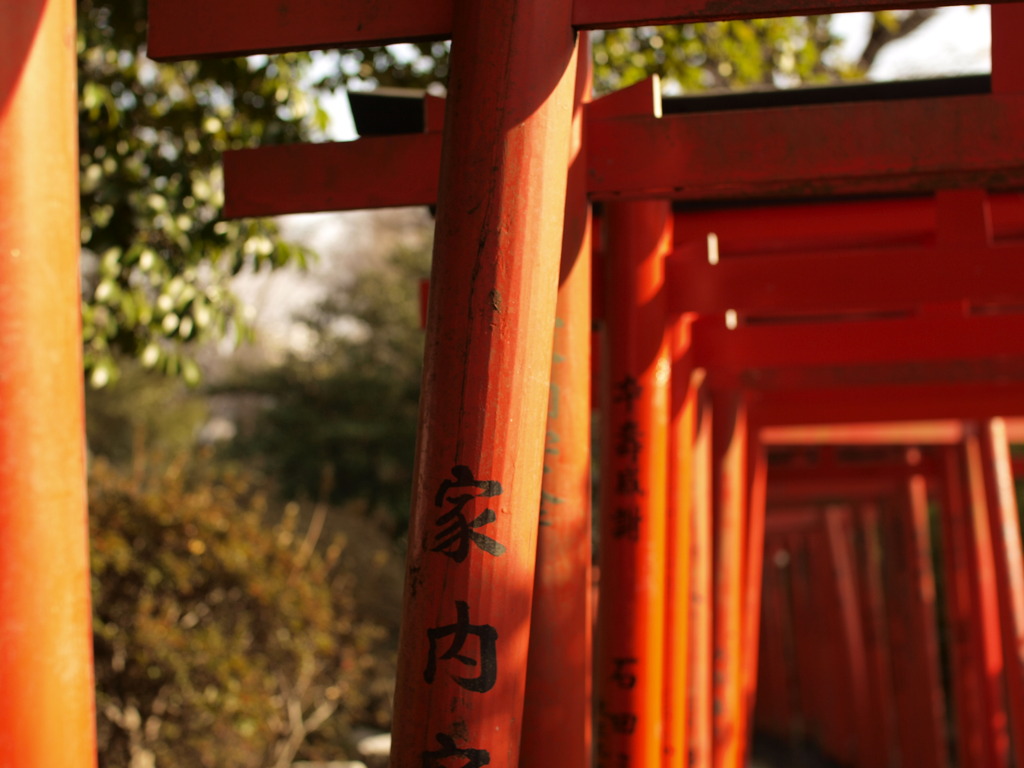 鳥居の道