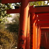 鳥居の道