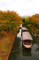 京都　伏見