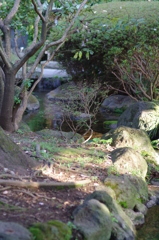 庭