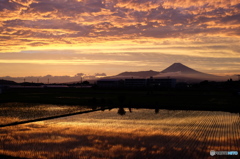 富嶽
