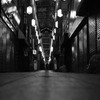 静寂なる京の錦