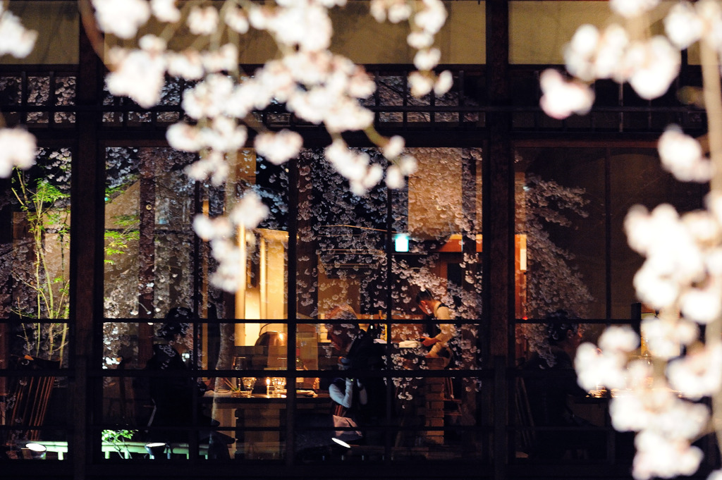 もう一つの桜