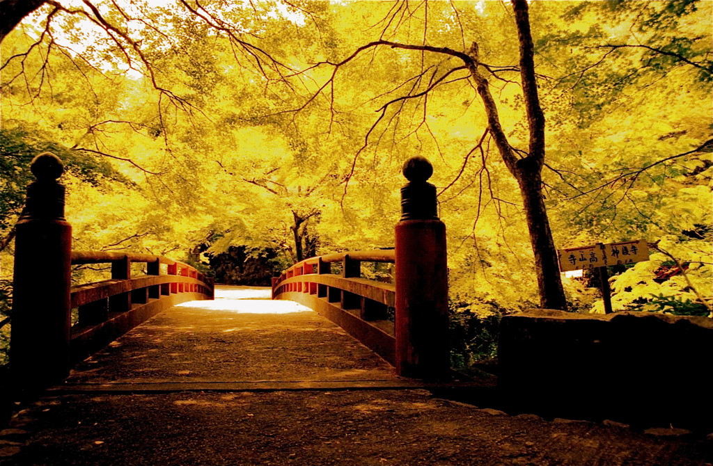 寺への道