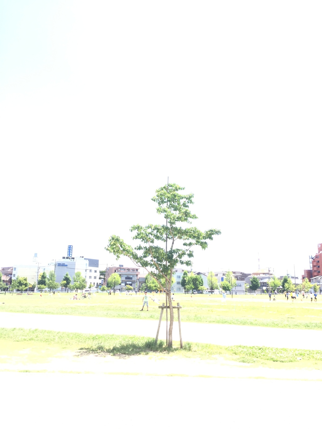 公園にて