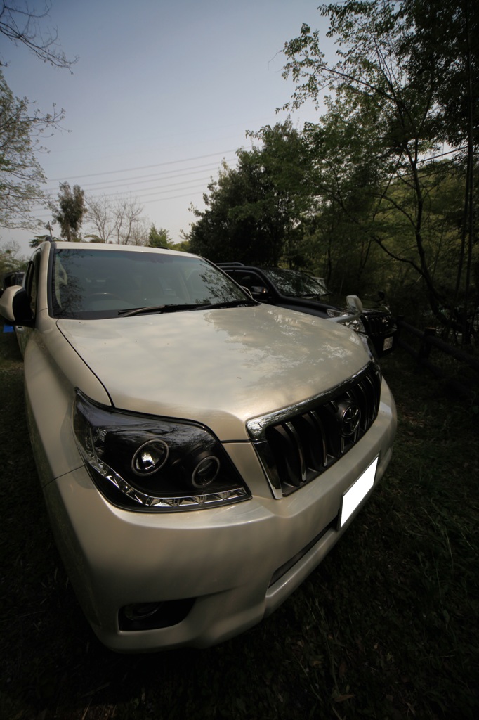 NEW PRADO150