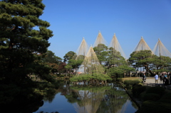 兼六園名物　冬支度雪吊