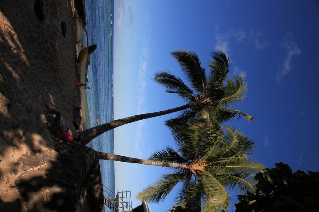Hawai　オアフ