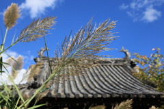 古寺の秋１