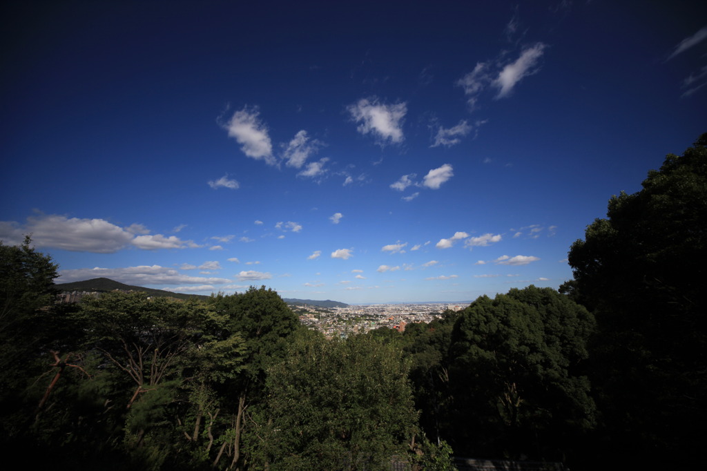 初秋の空