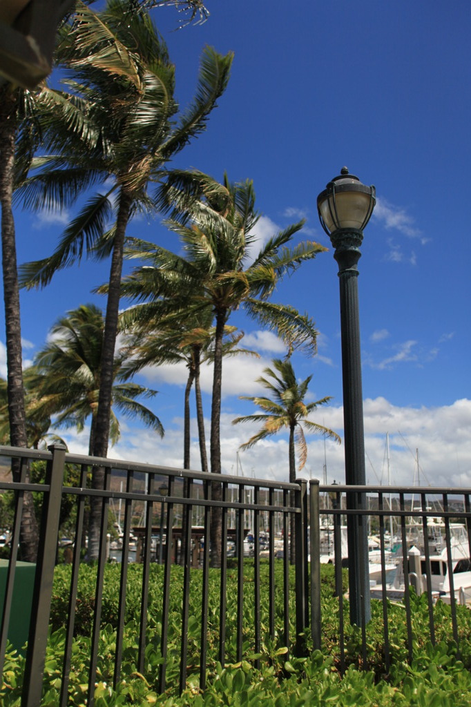 Hawai　オアフ