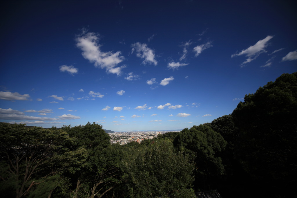 初秋の空