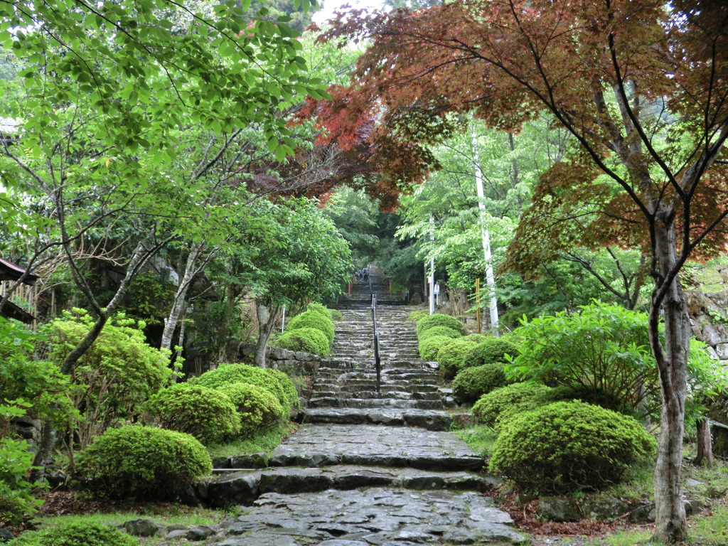 Mt.Hiko