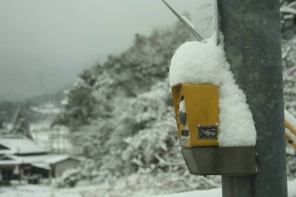 雪の日