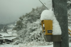 雪の日