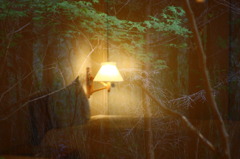 Nel bosco