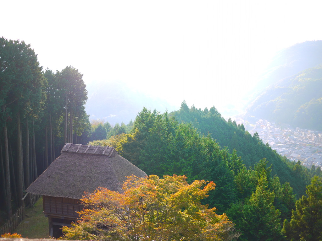 秋の風景