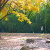 落ち葉舞う公園で