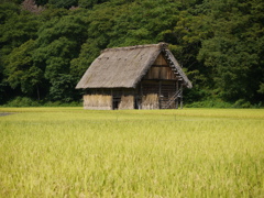 実りの秋