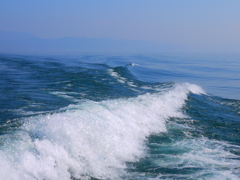 軌跡