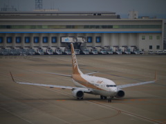 ANA GOLD JET