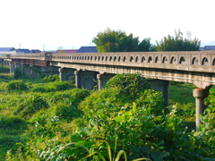 姉川の美浜橋