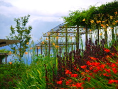 夏色の花々