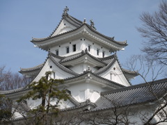 大垣城