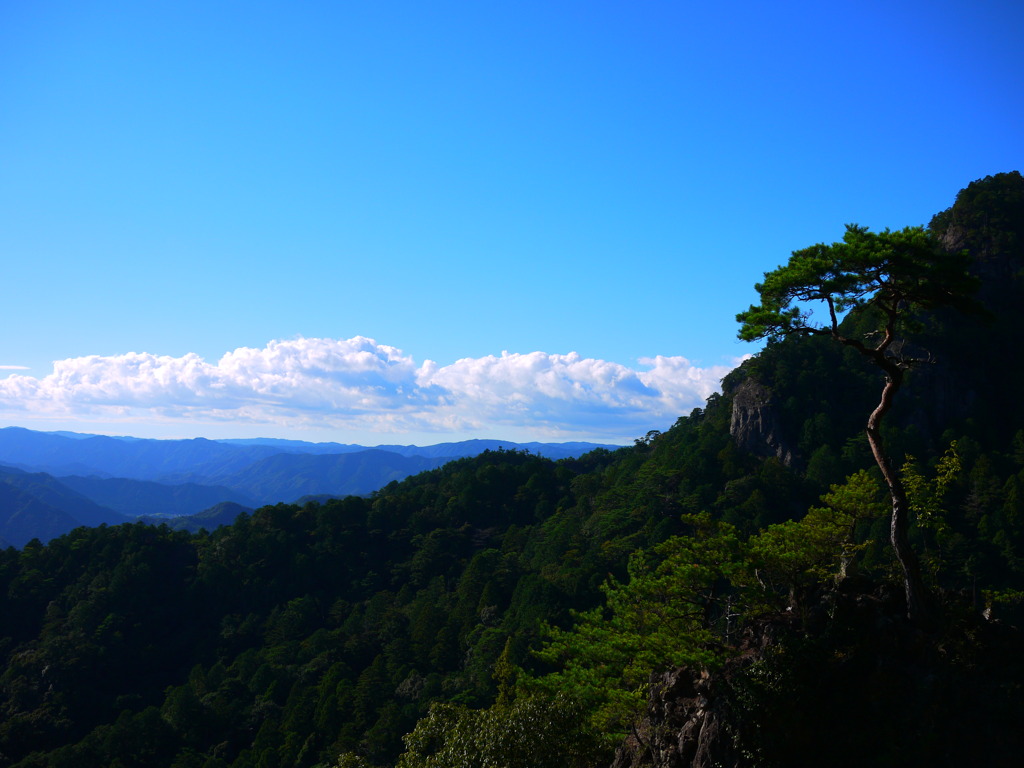 鳳来寺山より