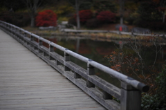 木橋（昭和記念公園）