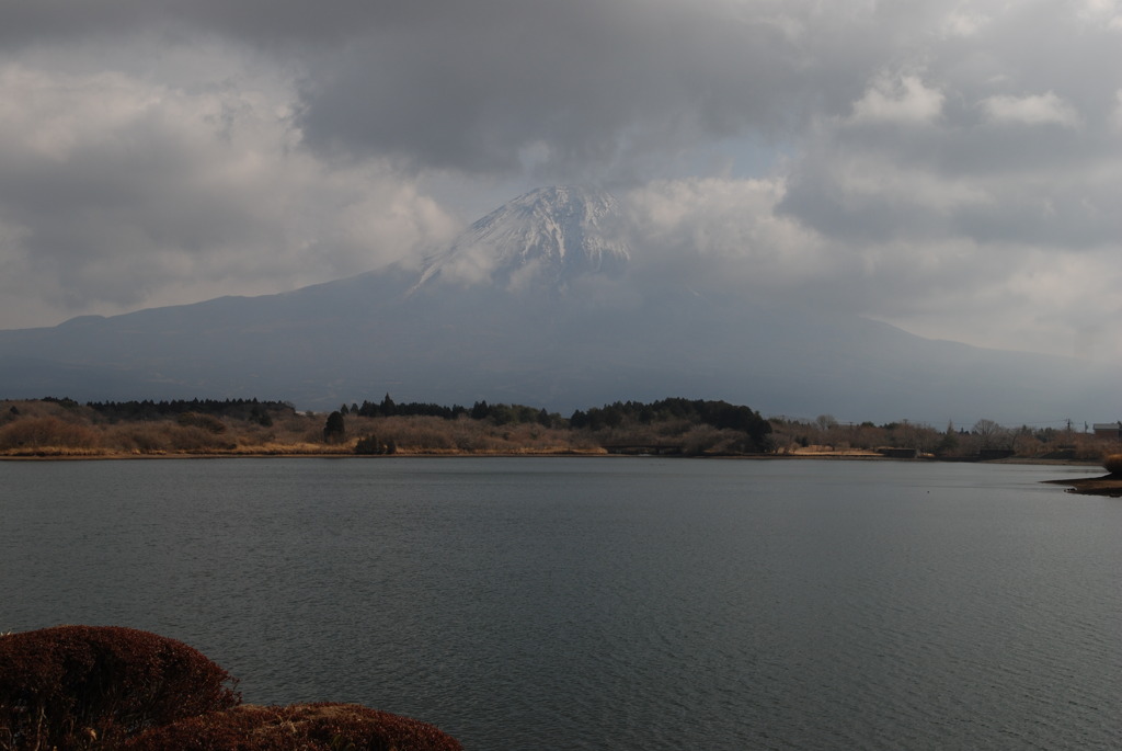 見えてきました！