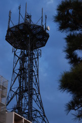 アンテナ。。。