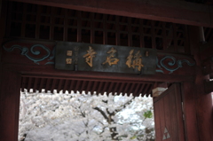 称名寺