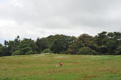 高原の夏休み