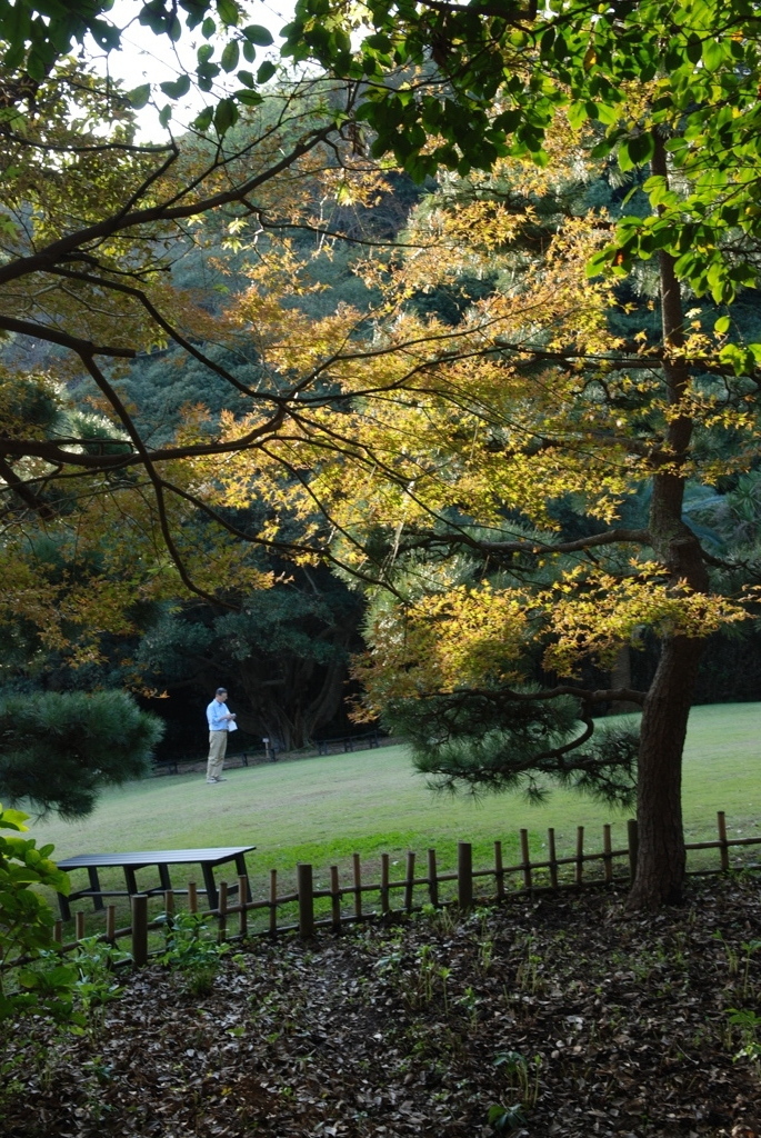 鎌倉文学館~庭~