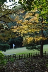 鎌倉文学館~庭~