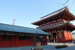 浅草から見るスカイツリー