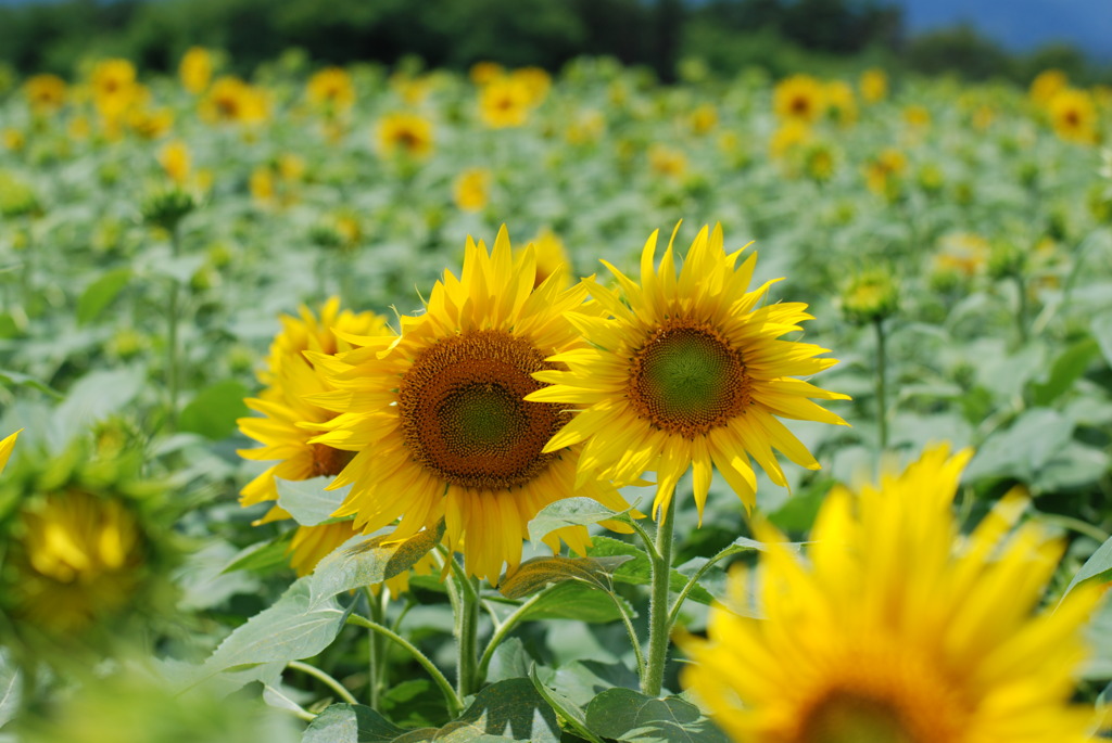 寄り添う･･･