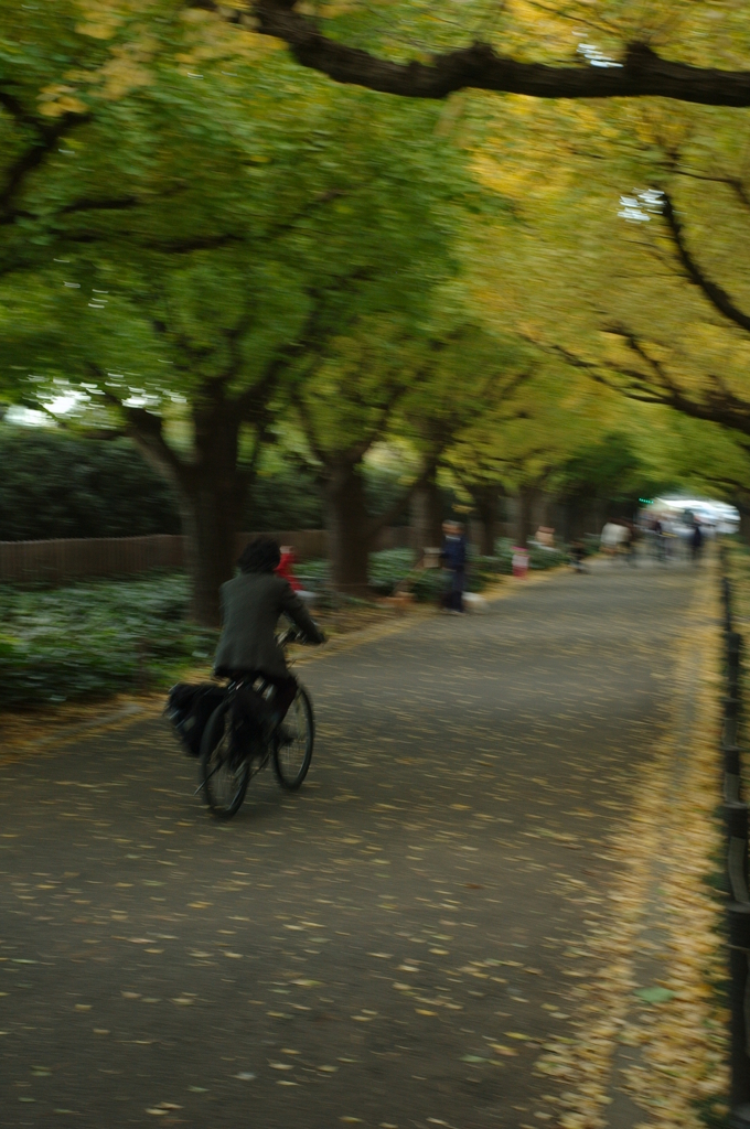 黄昏自転車
