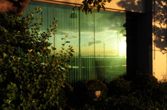 窓の朝日