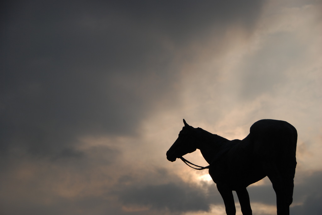 伝説になった馬