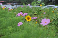 夏の終わりと秋の始まり
