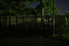 夜の佇み