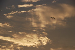 黄昏飛行
