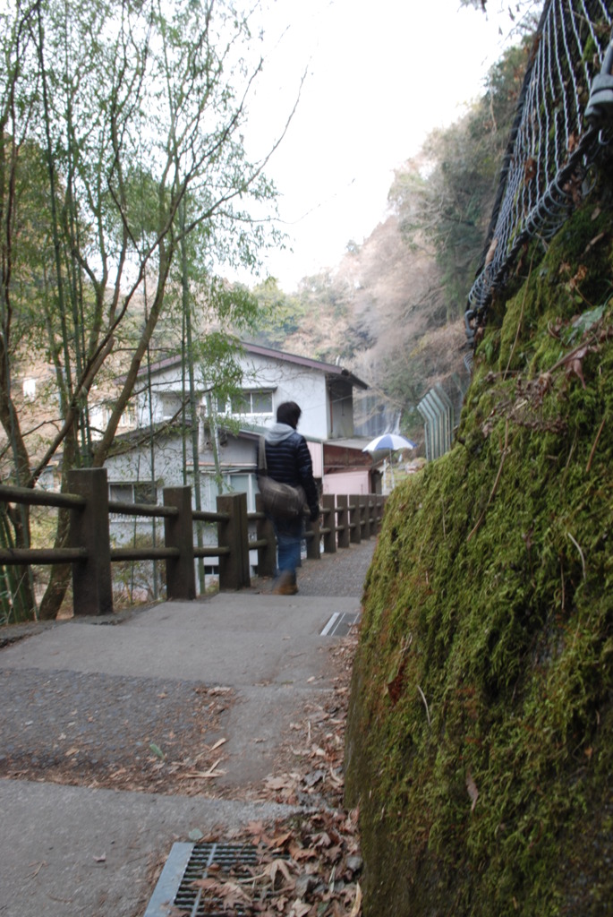 白糸の滝へ続く道