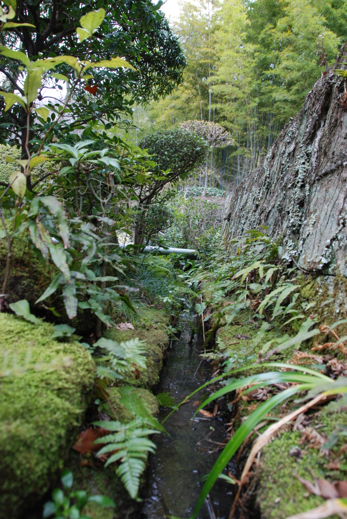 裏水路