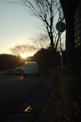 夕暮れの路肩②